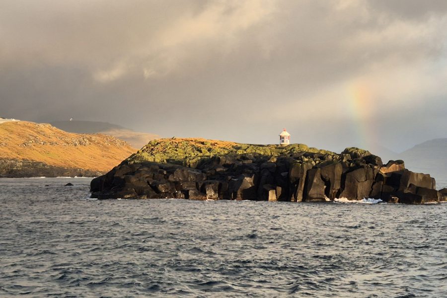 Morning Boat Tour from Tórshavn – Sailing Around Nólsoy with Puffins, Wildlife & Coastal Scenery